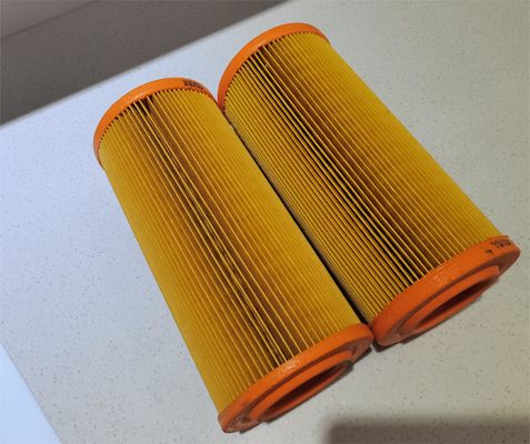 Hoge kwaliteit Auto motor inlaat luchtfilter element 2175291